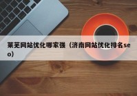 莱芜网站优化哪家强（济南网站优化排名seo）