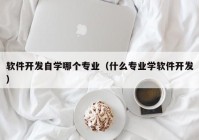 软件开发自学哪个专业（什么专业学软件开发）